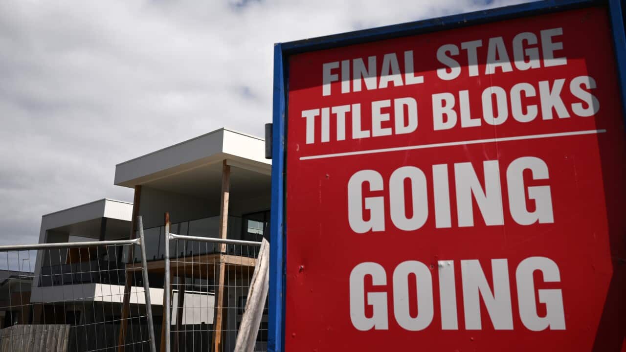 Image for read more article ' LISTEN MORE'