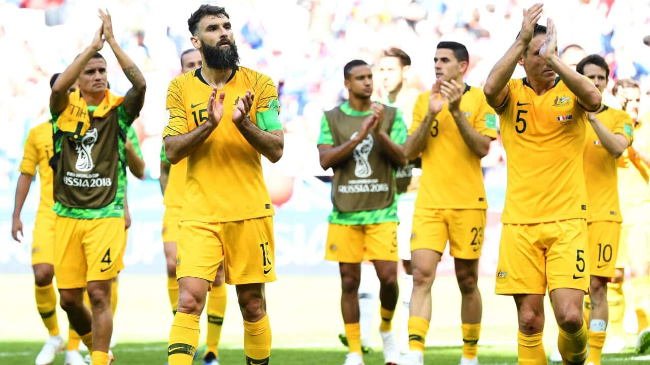 JEDINAK