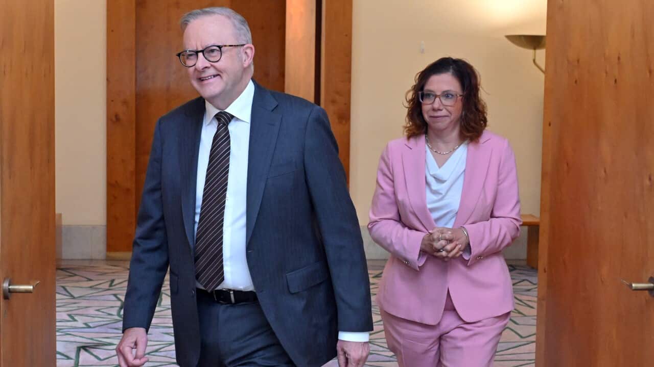 PAID PARENTAL LEAVE BILL