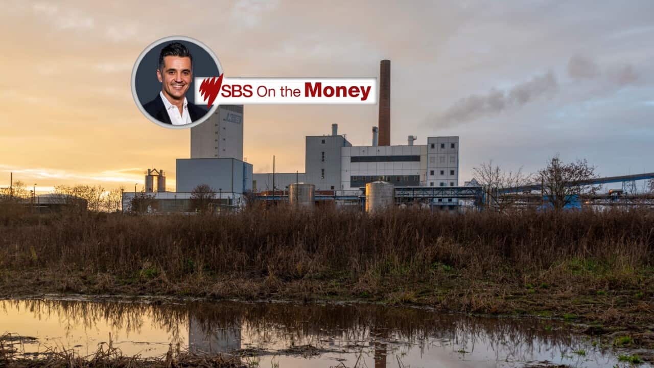 On the Money