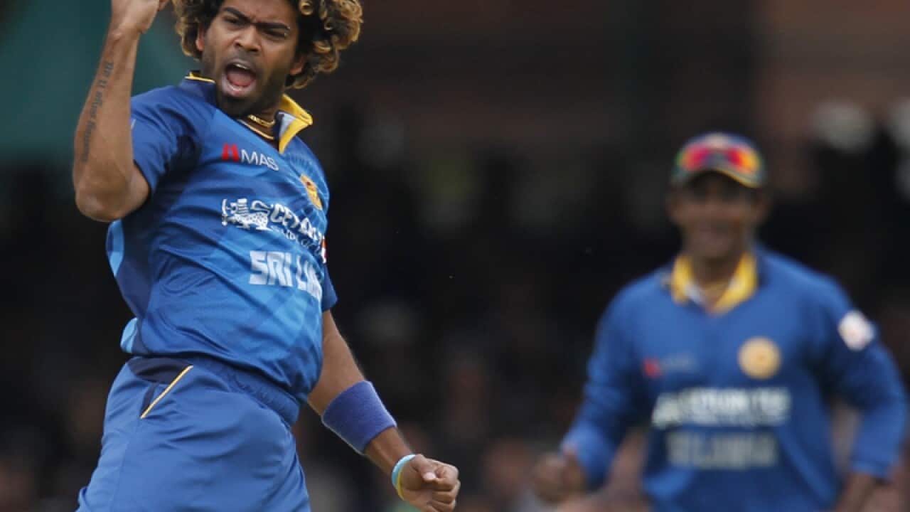 Sri Lanka’s Lasith Malinga celebrates taking the wicket of Ian Bell