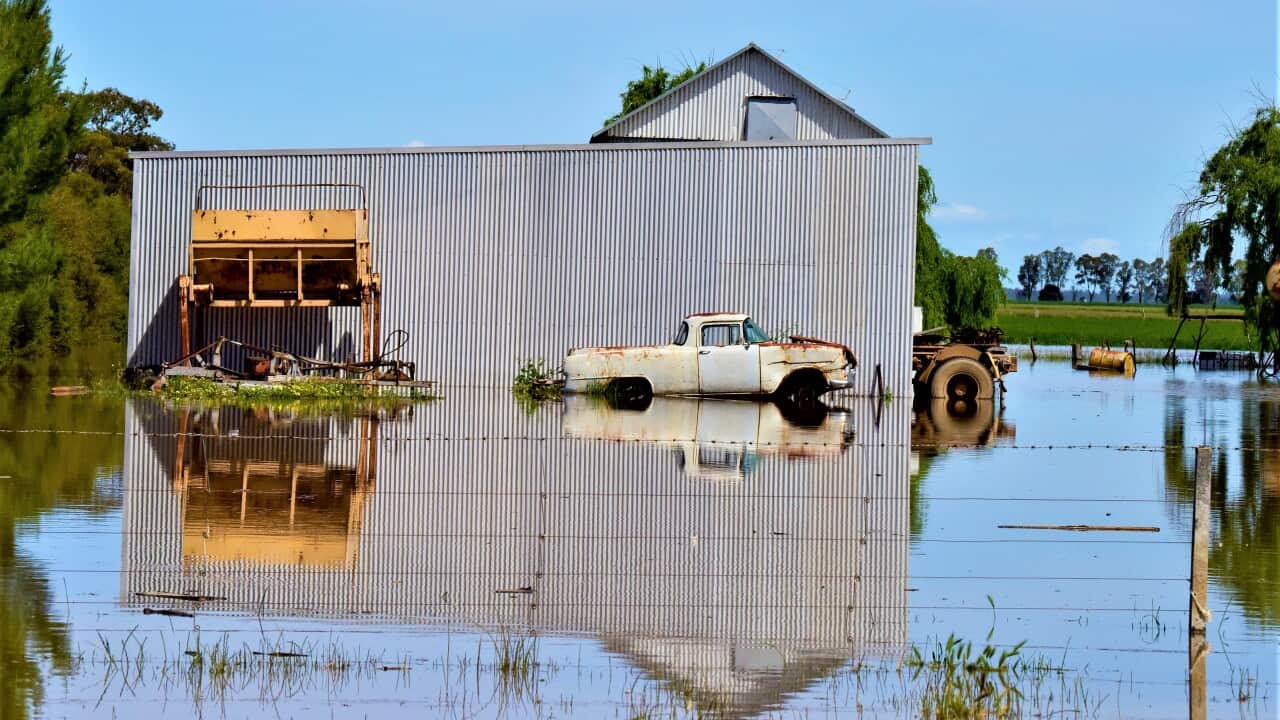 VIC FLOODS CLEAN UP