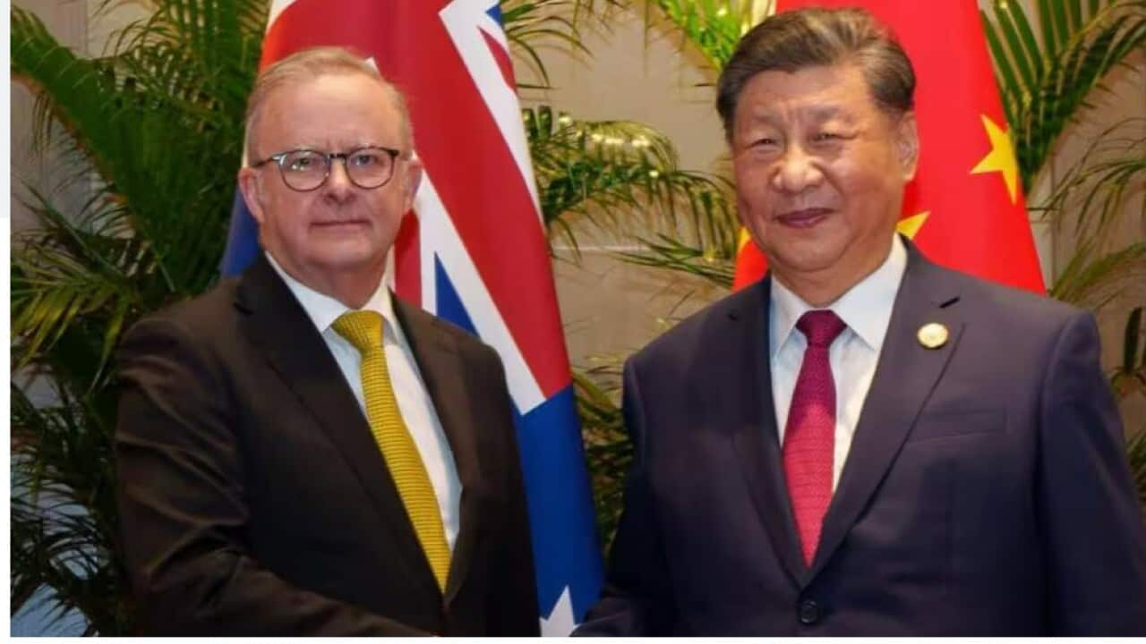 ALBanese - Xi Jingping.jpg