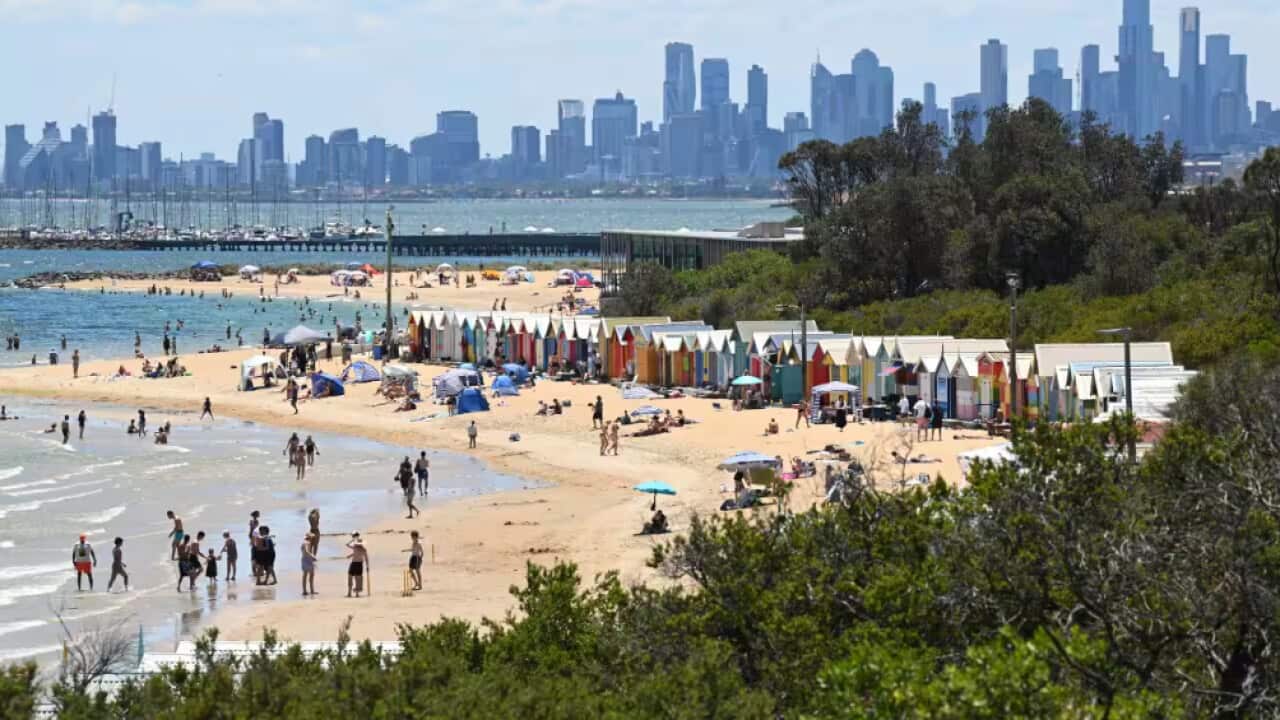 Screenshot 2026-01-08 at 1.22.38 pm.png