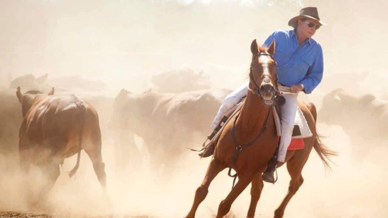 The resort will be promoted alongside an outback experience at Mr. Forrest's Minderoo Station.