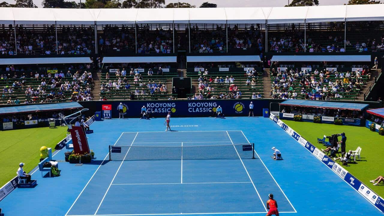 Alex Eala’s match sparks debate on tennis crowd etiquette.