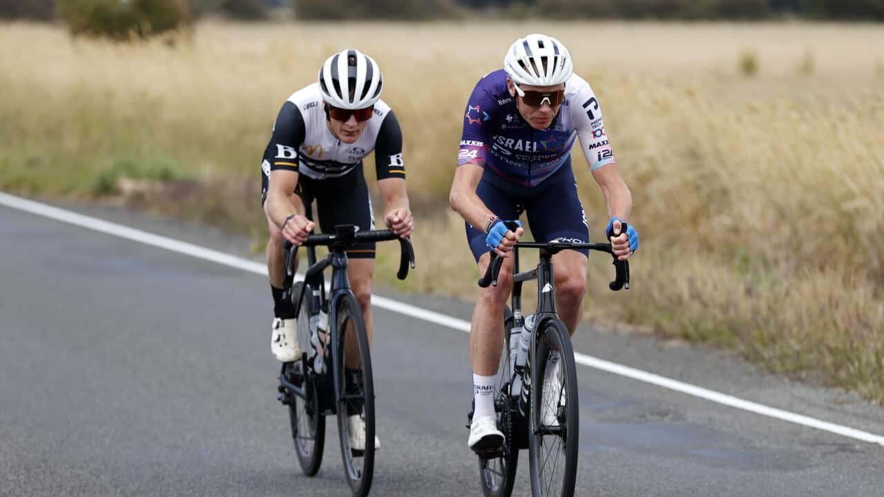 Image for read more article ''