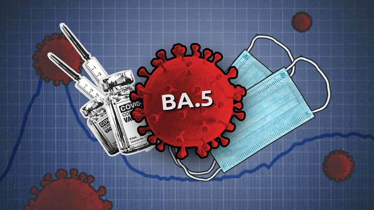 Virus particle, face mask, and COVID-19 vaccine overlaid with graph and virus particles in the background.
