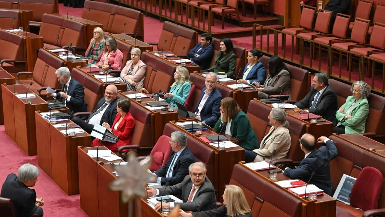 Image for read more article 'READ MORE'