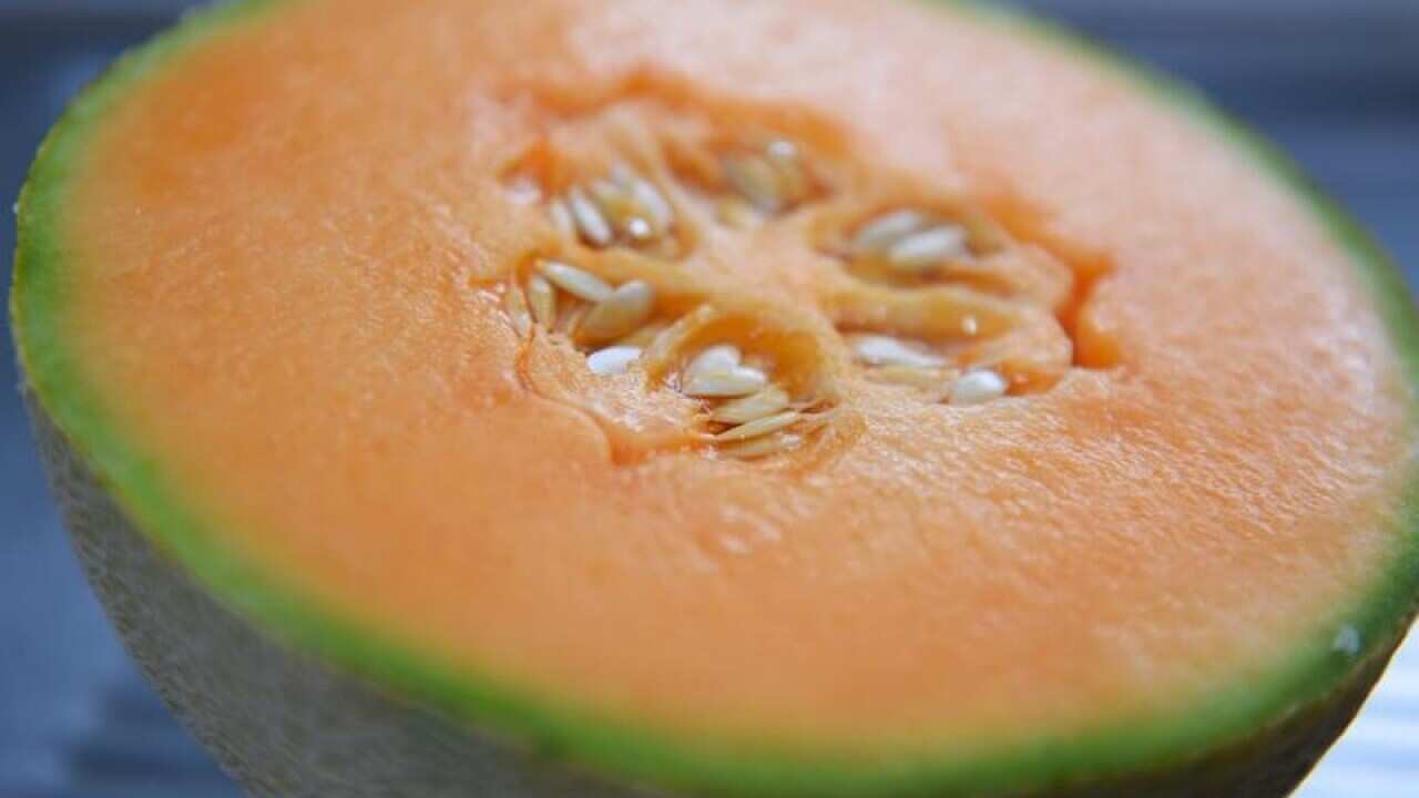A file image of a rockmelon