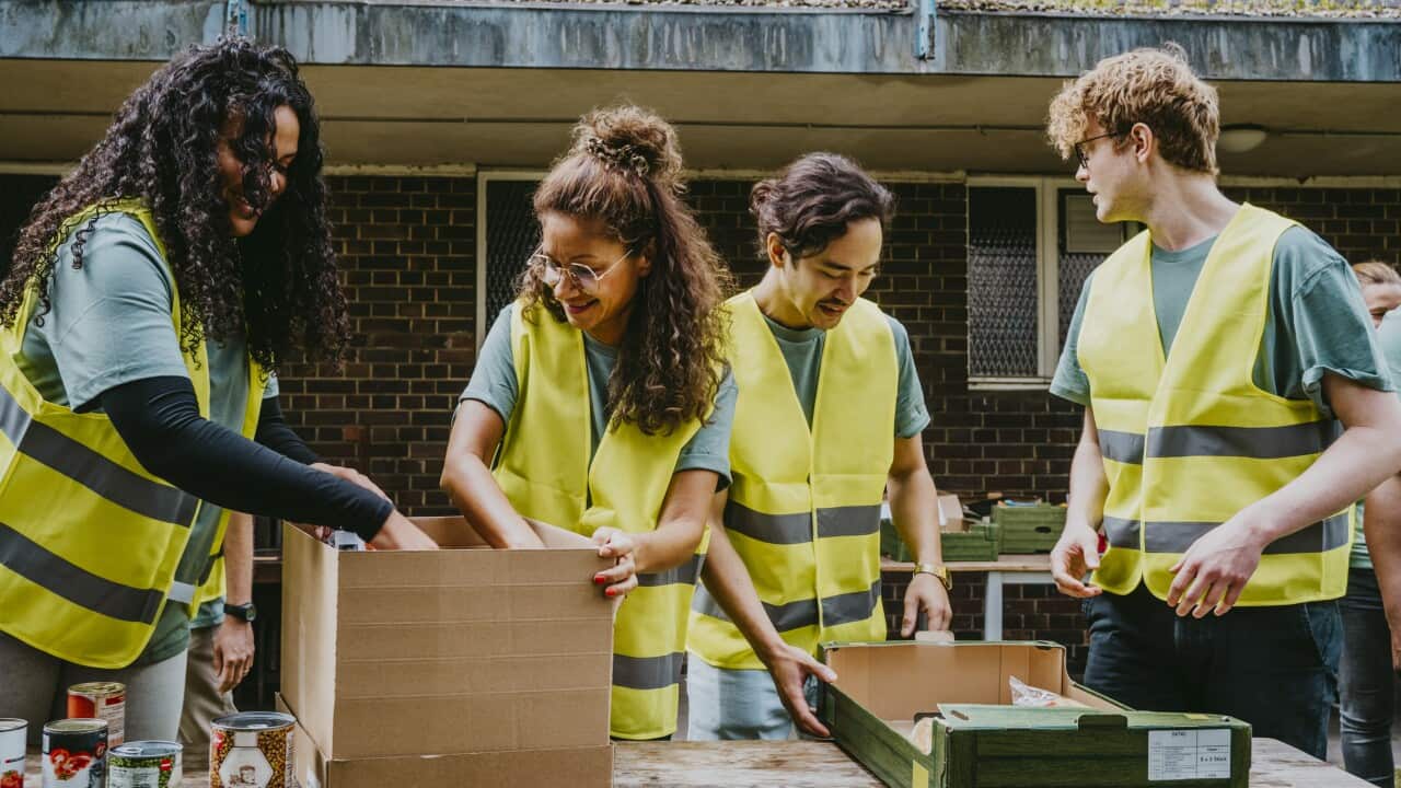Smiling male and female friends working at table in non-profit organization