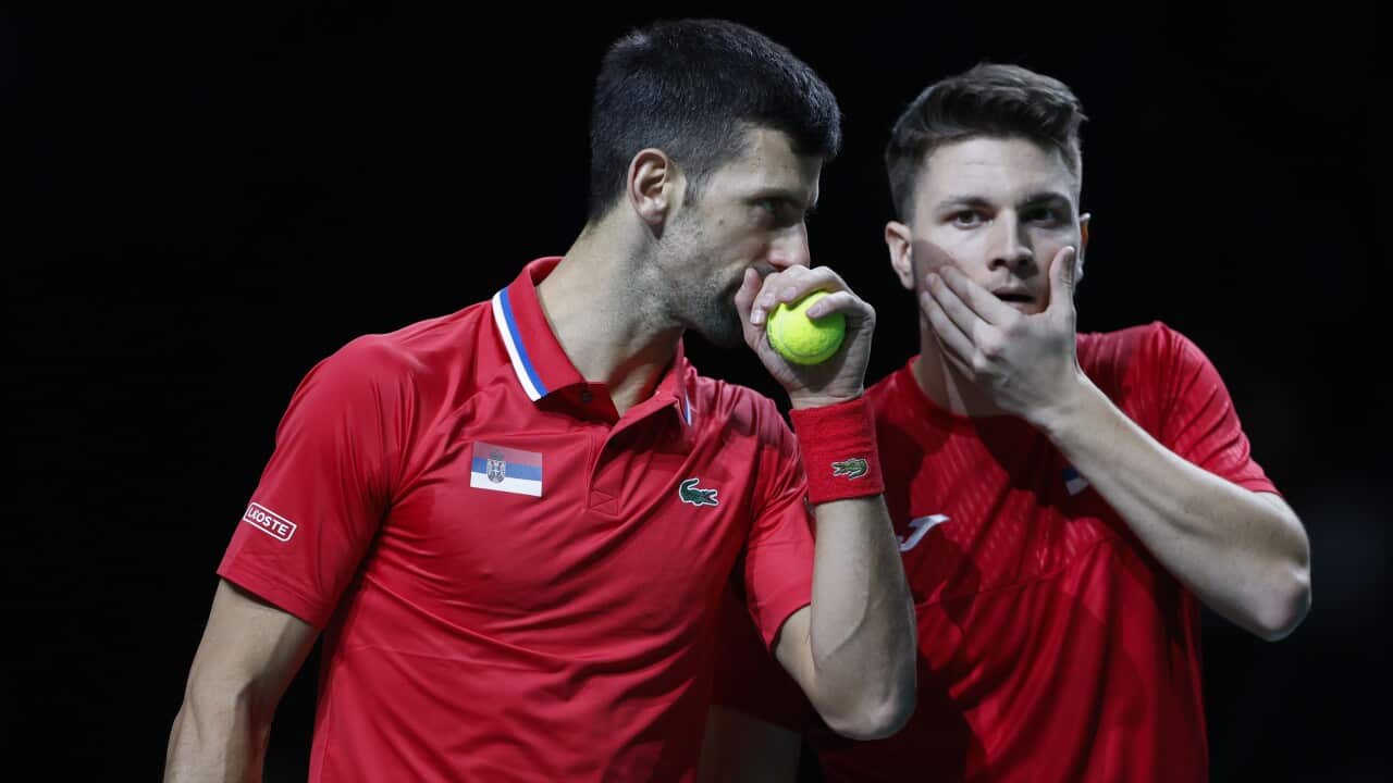Serbian players Novak Djokovic (L) and Miomir Kecmanovic react during their doubles match against Italy's players Jannik Sinner and Lorenzo Sonego during their 2023 Davis Cup Final 8 semi final tie