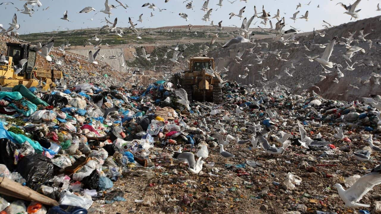 Earthmovers push mountains of garbage as seagulls fly over the country's largest landfill at Fyli on the outskirts of Athens in Greece.
