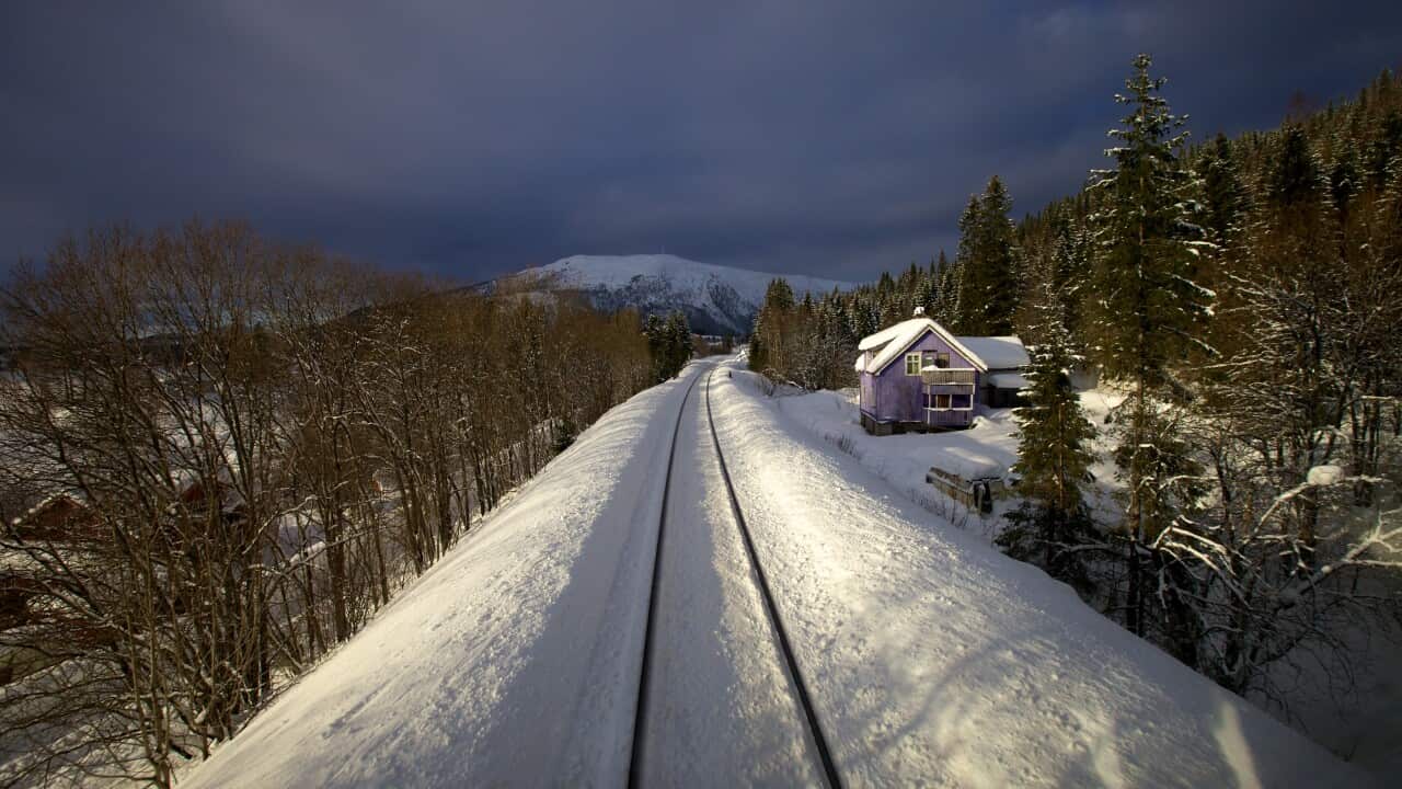 Image for read more article 'Also discover the Nordlandsbanen'