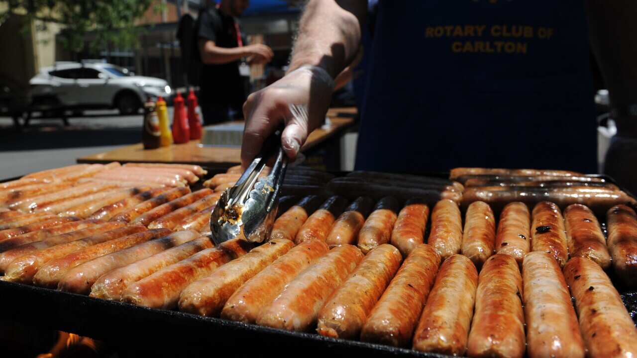 From Donkey Votes To Democracy Sausages Australia S Election Jargon Explained More Latest World News Headlines World News