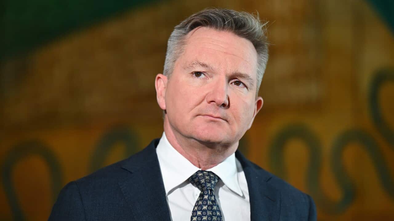 CHRIS BOWEN PRESSER