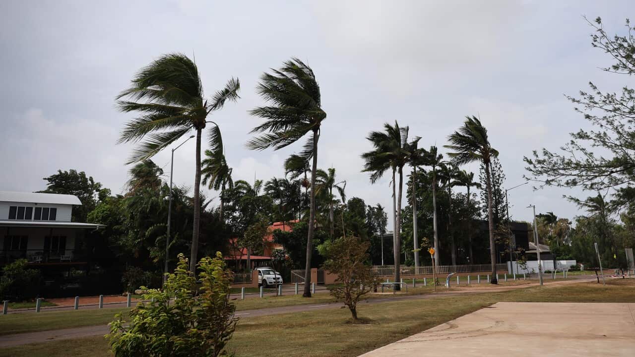 MELBOURNE DAILY LIFE