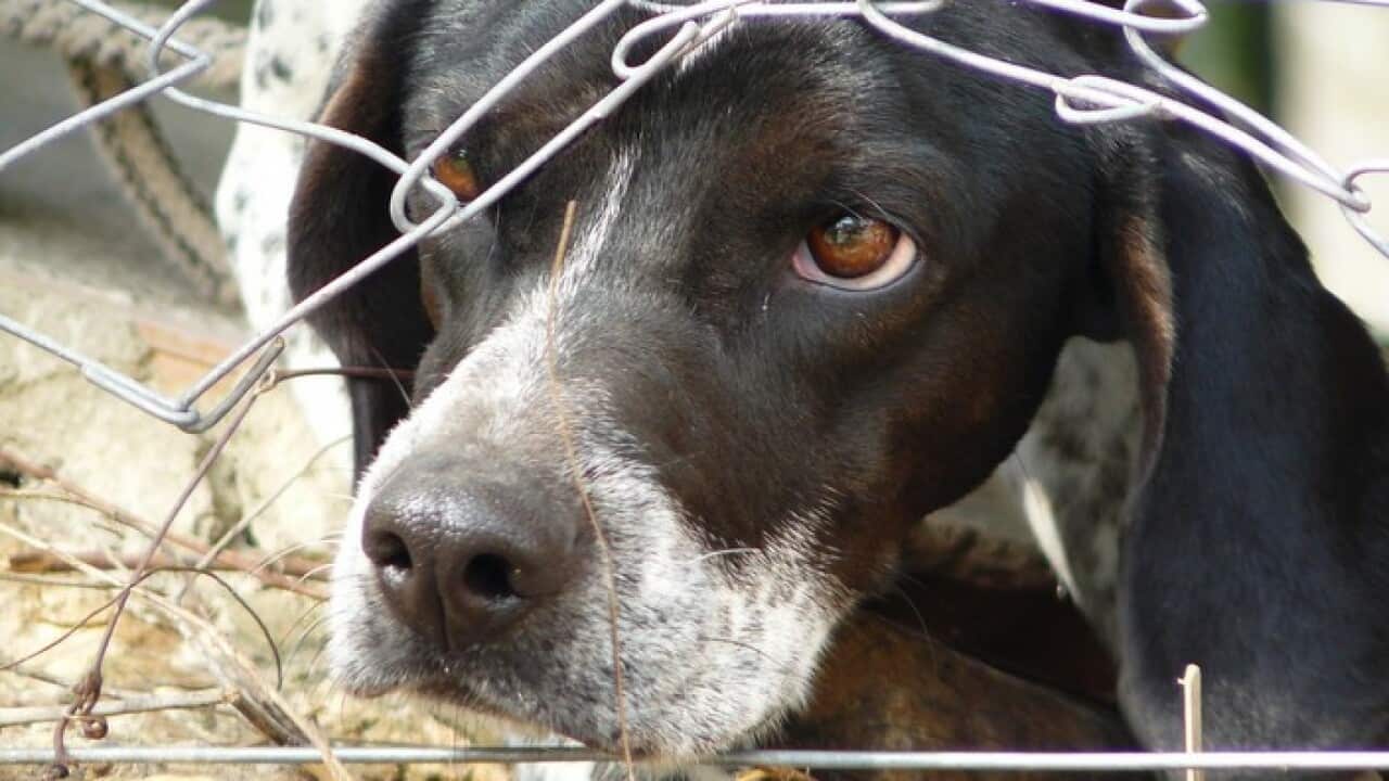 Image for read more article 'READ MORE'