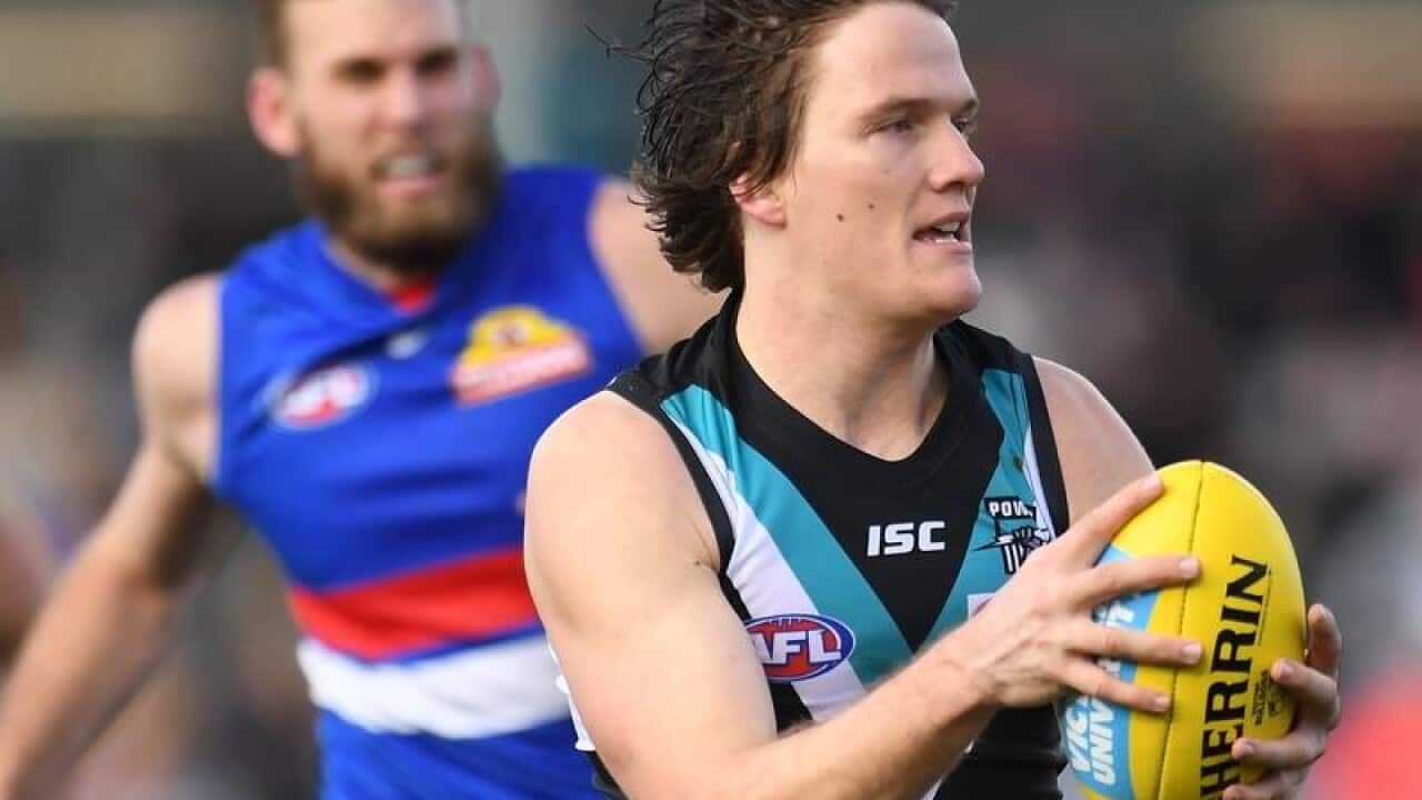 Jared Polec