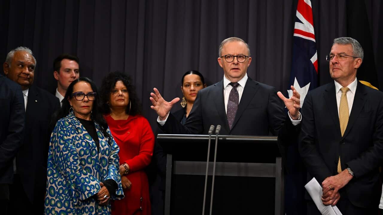 ANTHONY ALBANESE VOICE PRESSER