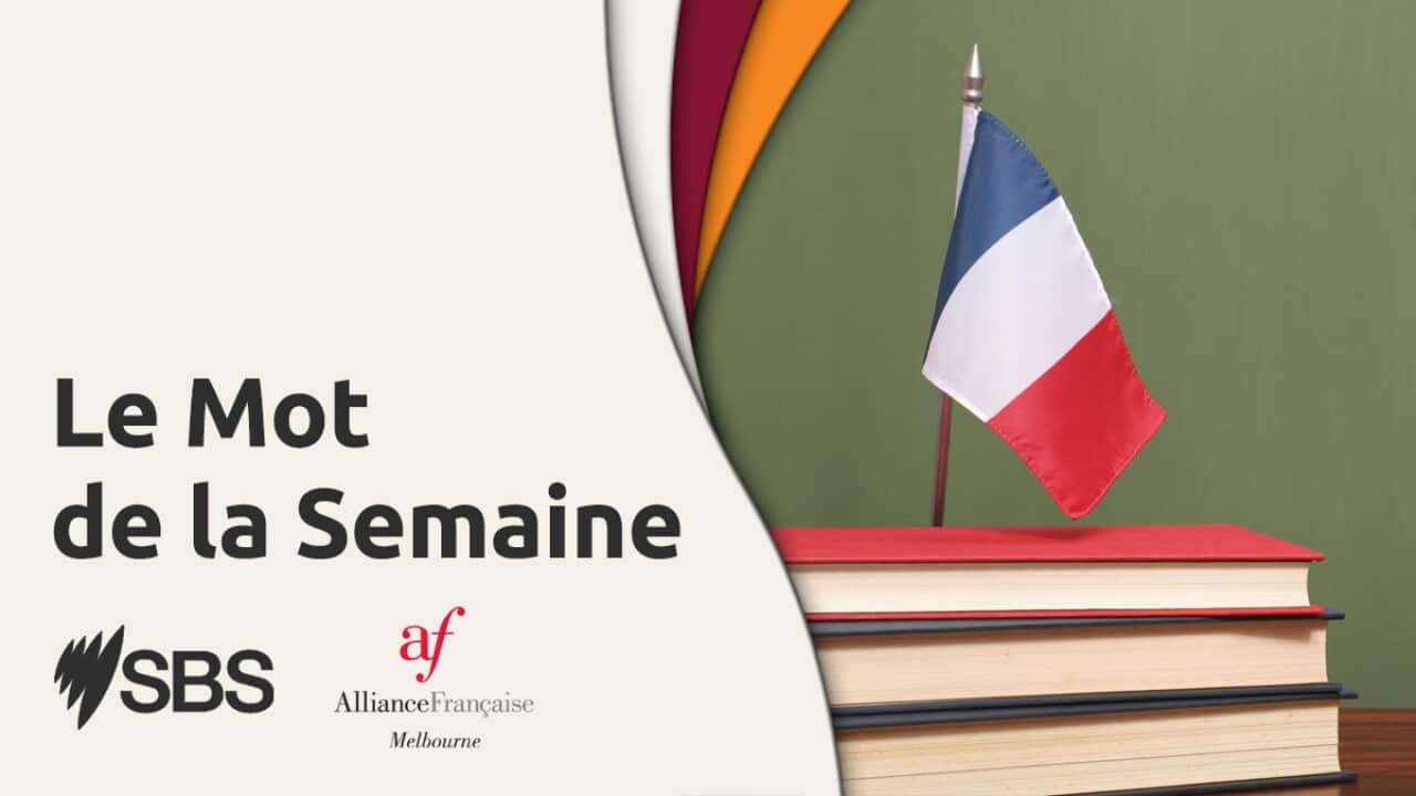 SBS Easy French Le mot de la semaine