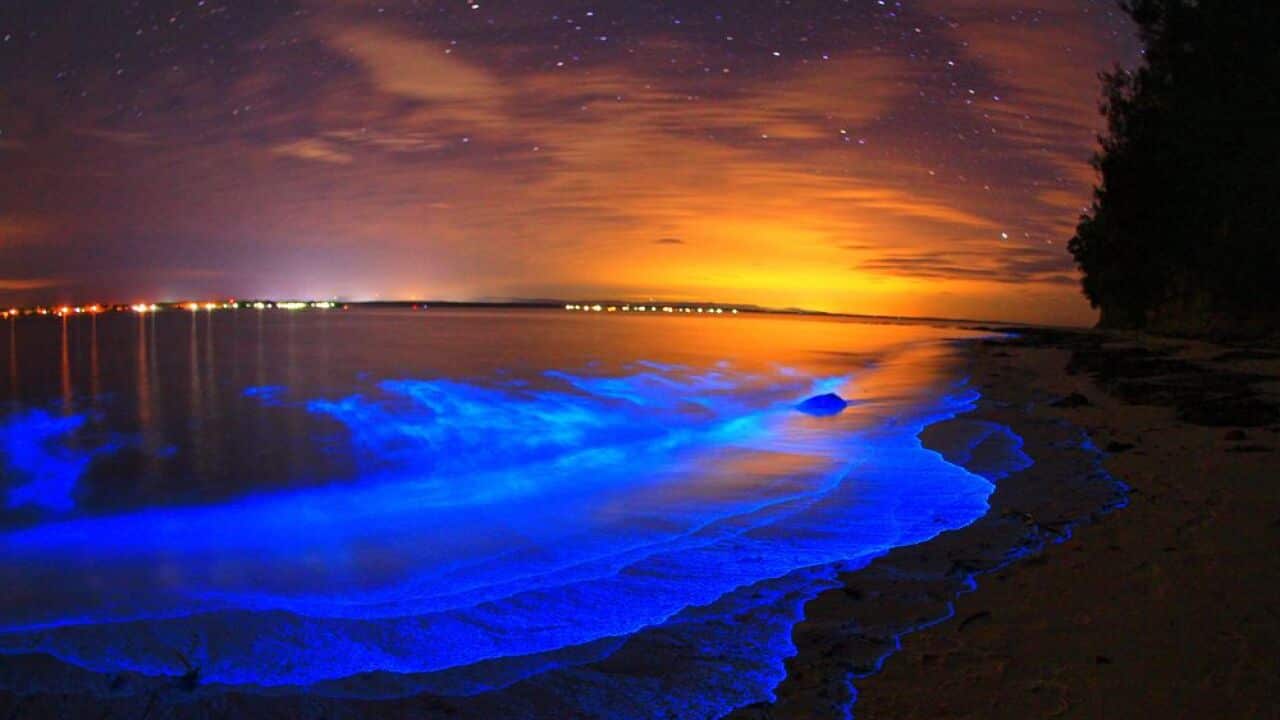 Image for read more article 'LISTEN MORE'