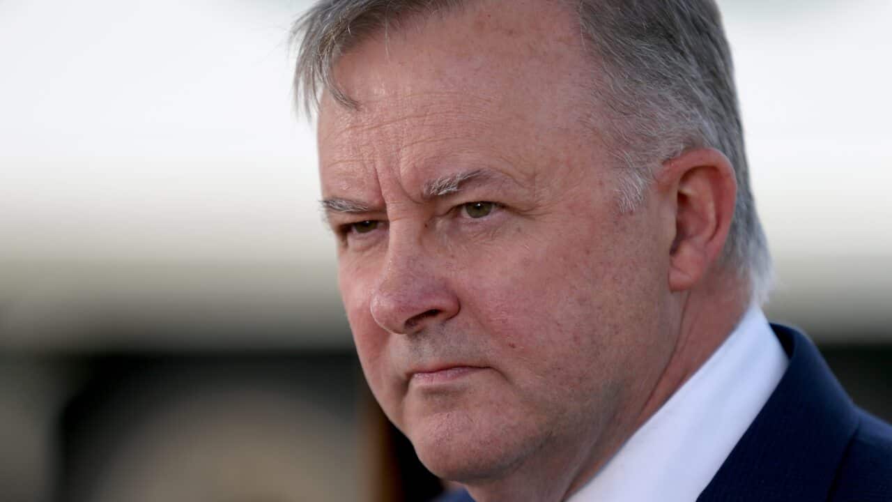 Opposition Leader Anthony Albanese.