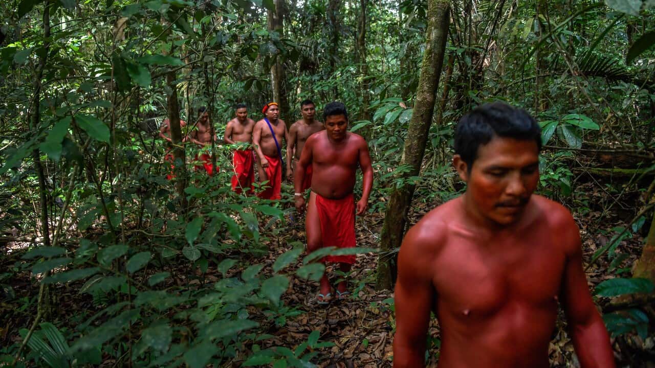 Waiapi men walk into the jungle at the Waiapi indigenous reserve in Amapa state in Brazil.