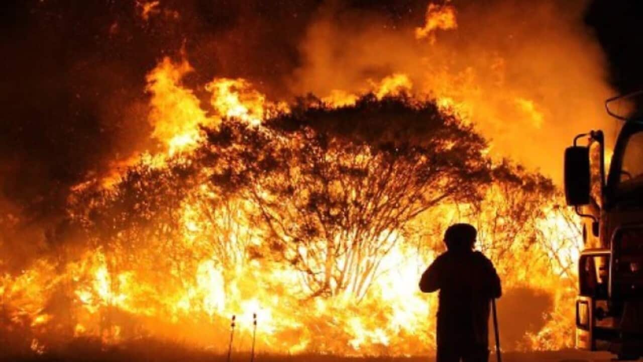 bushfire