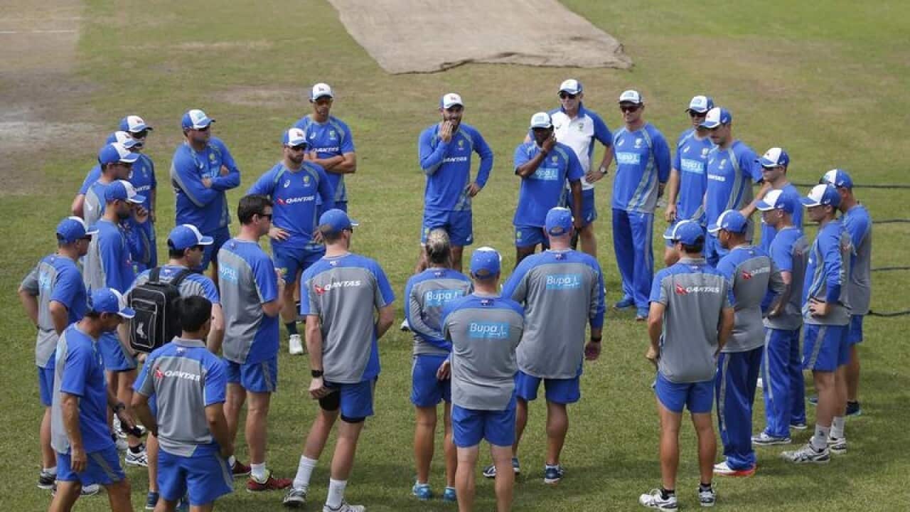 Australia's cricket players