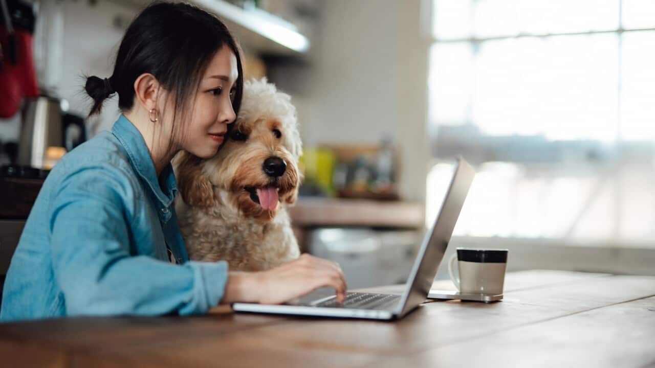 Young woman working from home with her dog