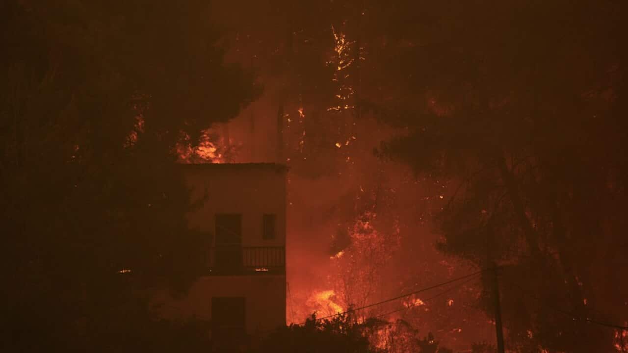 A wildfire burns trees at Pefki village on Evia Island, north of Athens, Greece, Sunday, Aug. 8, 2021