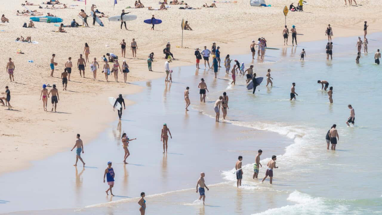 Beach-goers in the water and on the sand.