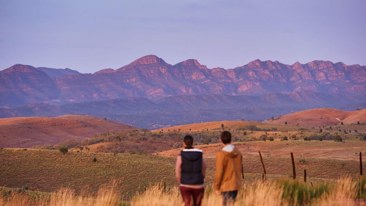 Flinders Ranges, SA