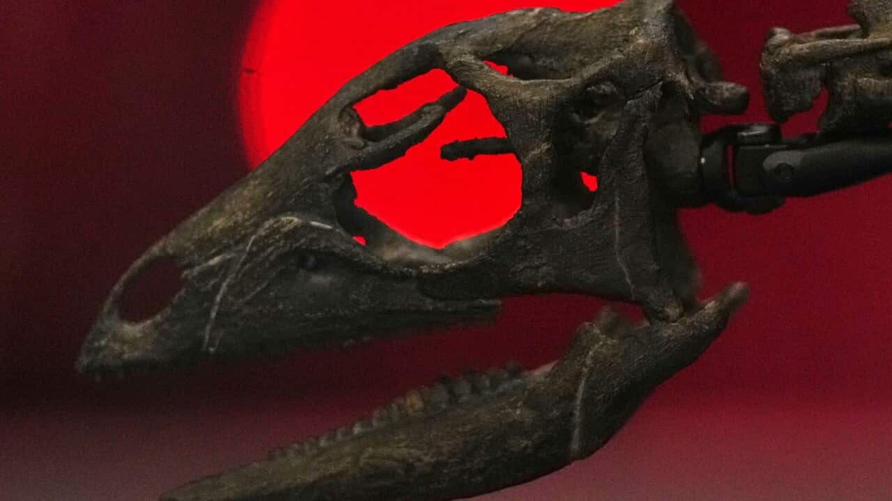 Britain Dinasour