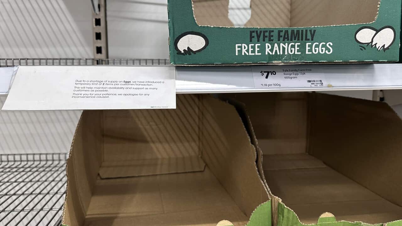 Empty shelves and a sign advising customers of egg rationing at a supermarket