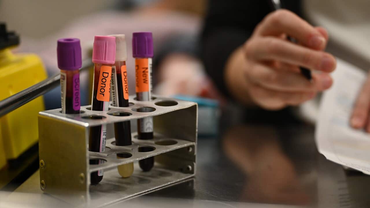 Image for read more article 'READ MORE'