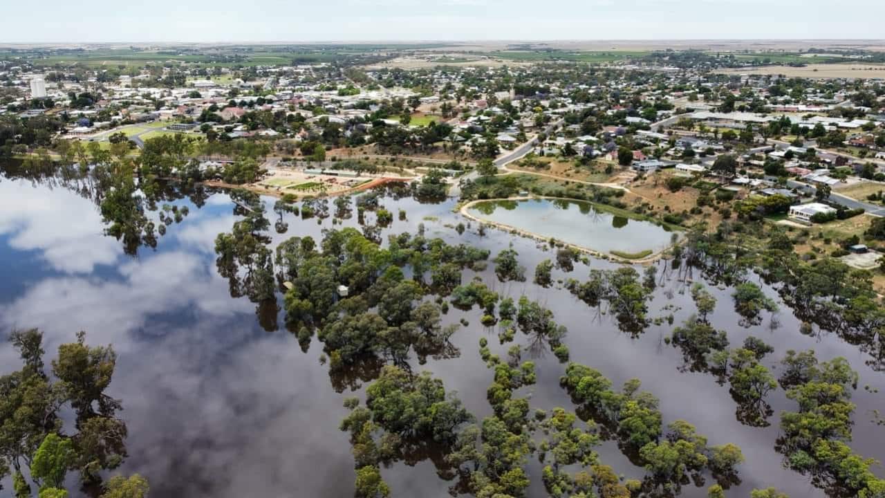 Treetops can be seen above floodwaters in South Australia.