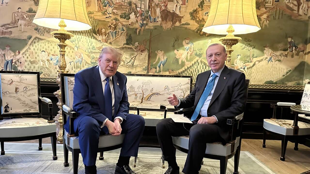Recep Tayyip Erdogan - Donald Trump meeting in The Hague
