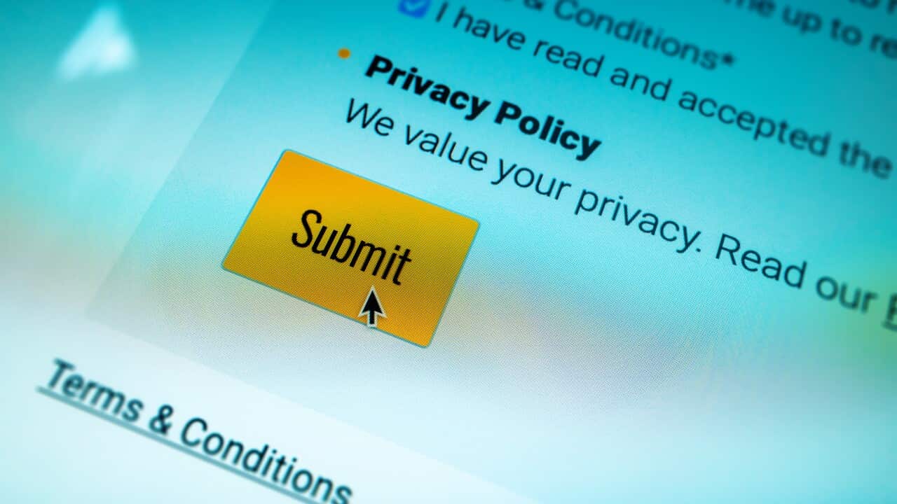 Privacy policy submit button