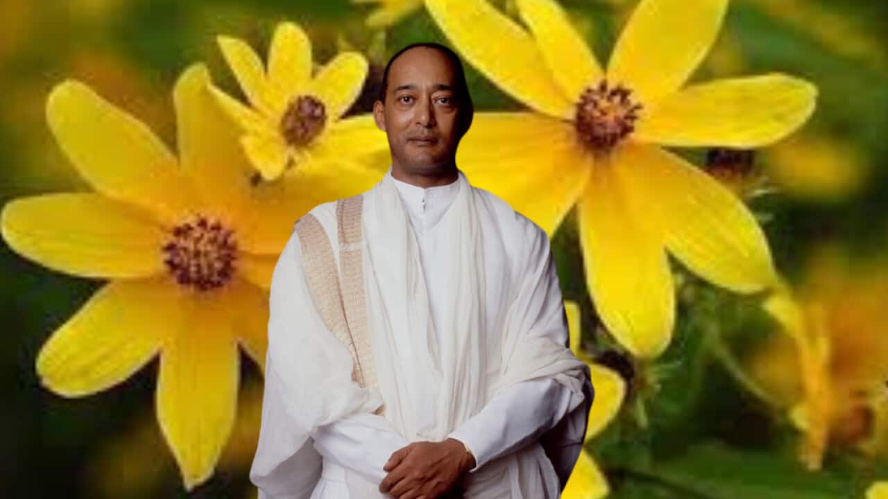 HIH Ermias SS.png