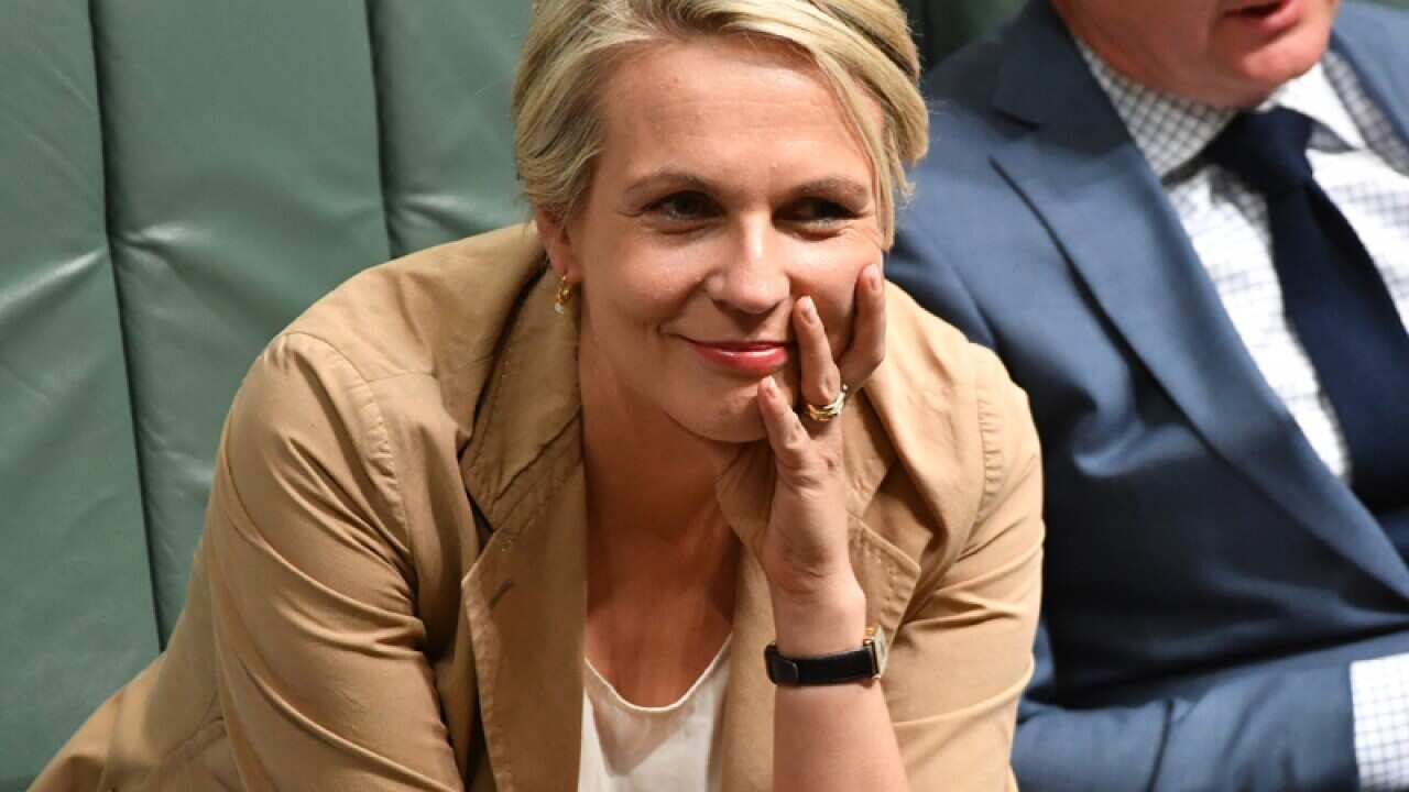Deputy Leader of the Opposition Tanya Plibersek
