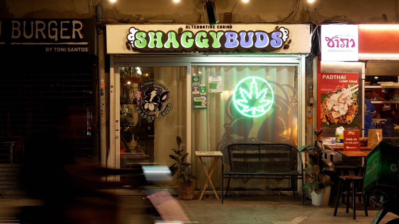 A neon-lit shopfront called Shaggy Buds.