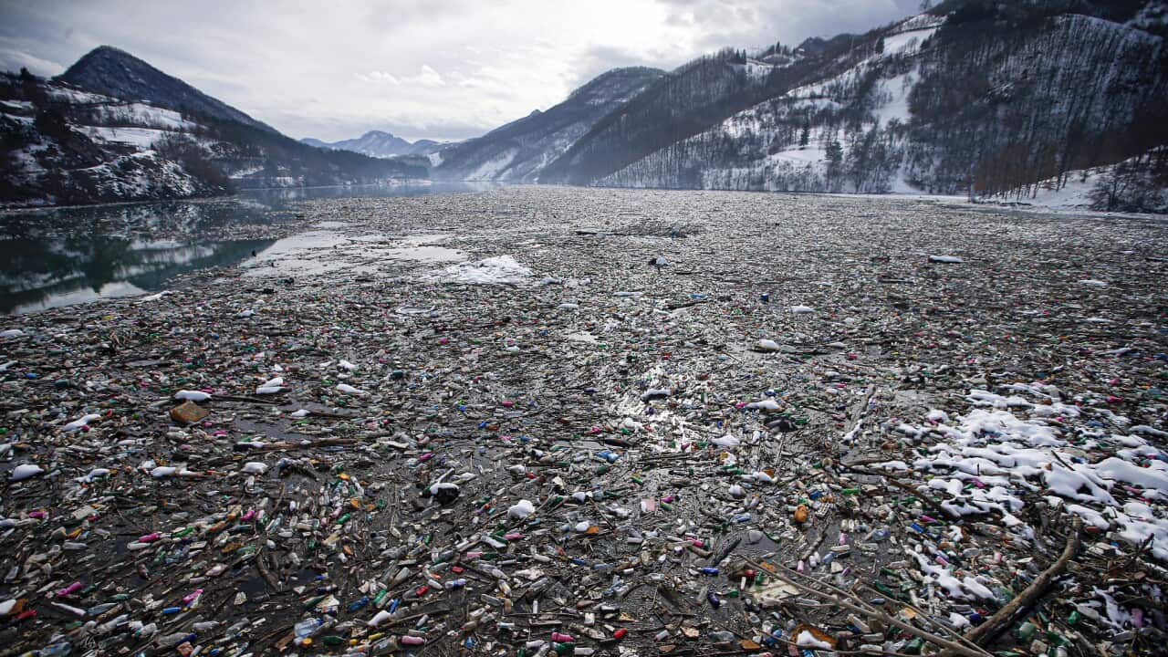 Plastic bottles and other garbage floats in the Potpecko lake near Priboj, in southwest Serbia