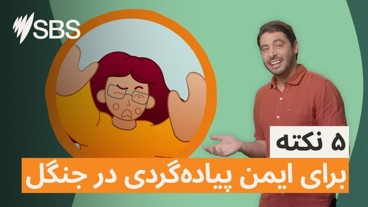 Image for read more article 'بیشتر بخوانید'