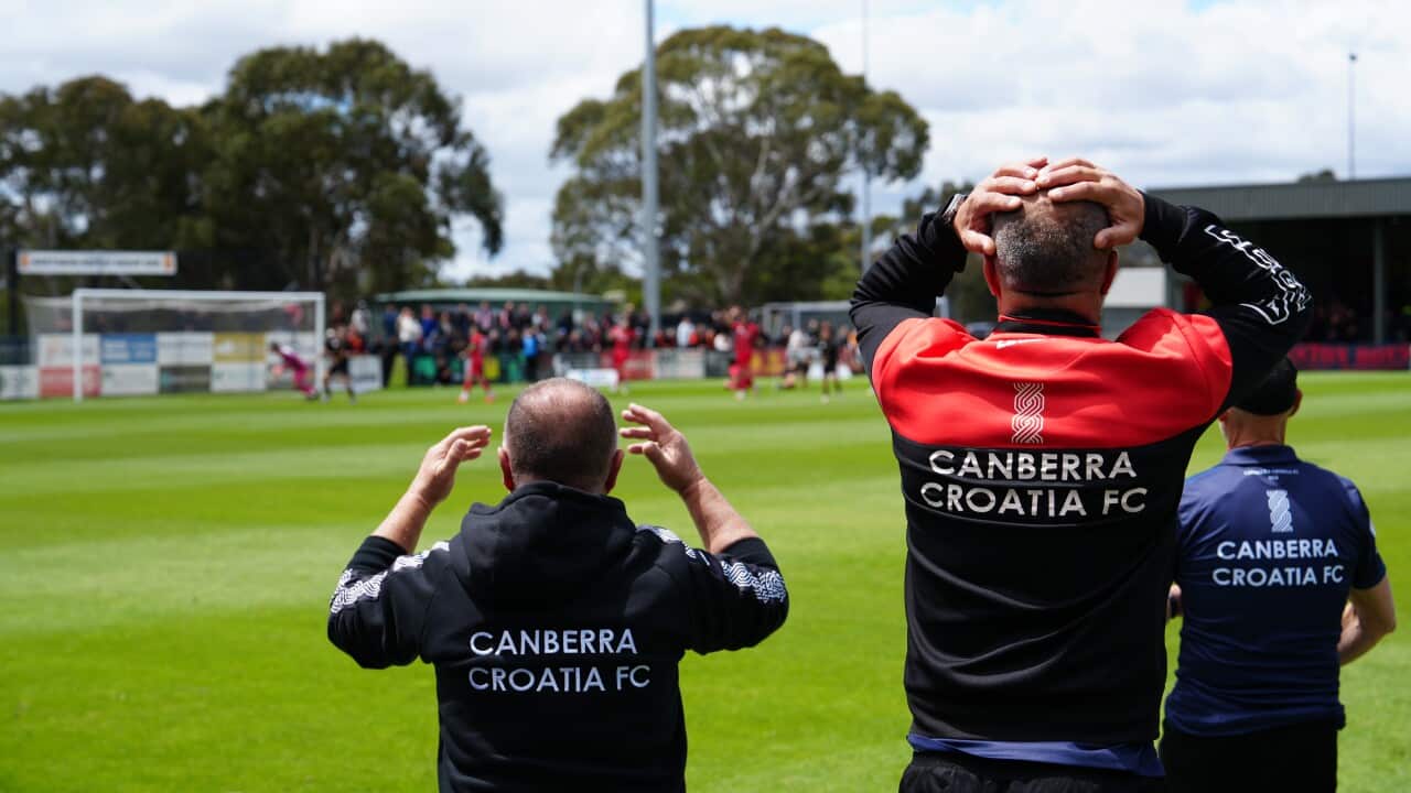 Treneri Canberra Croatia