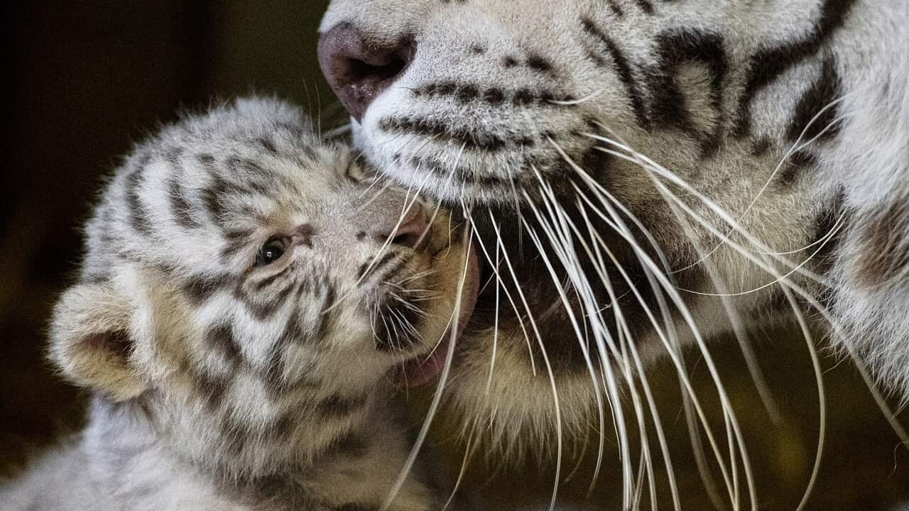 Image for read more article ''