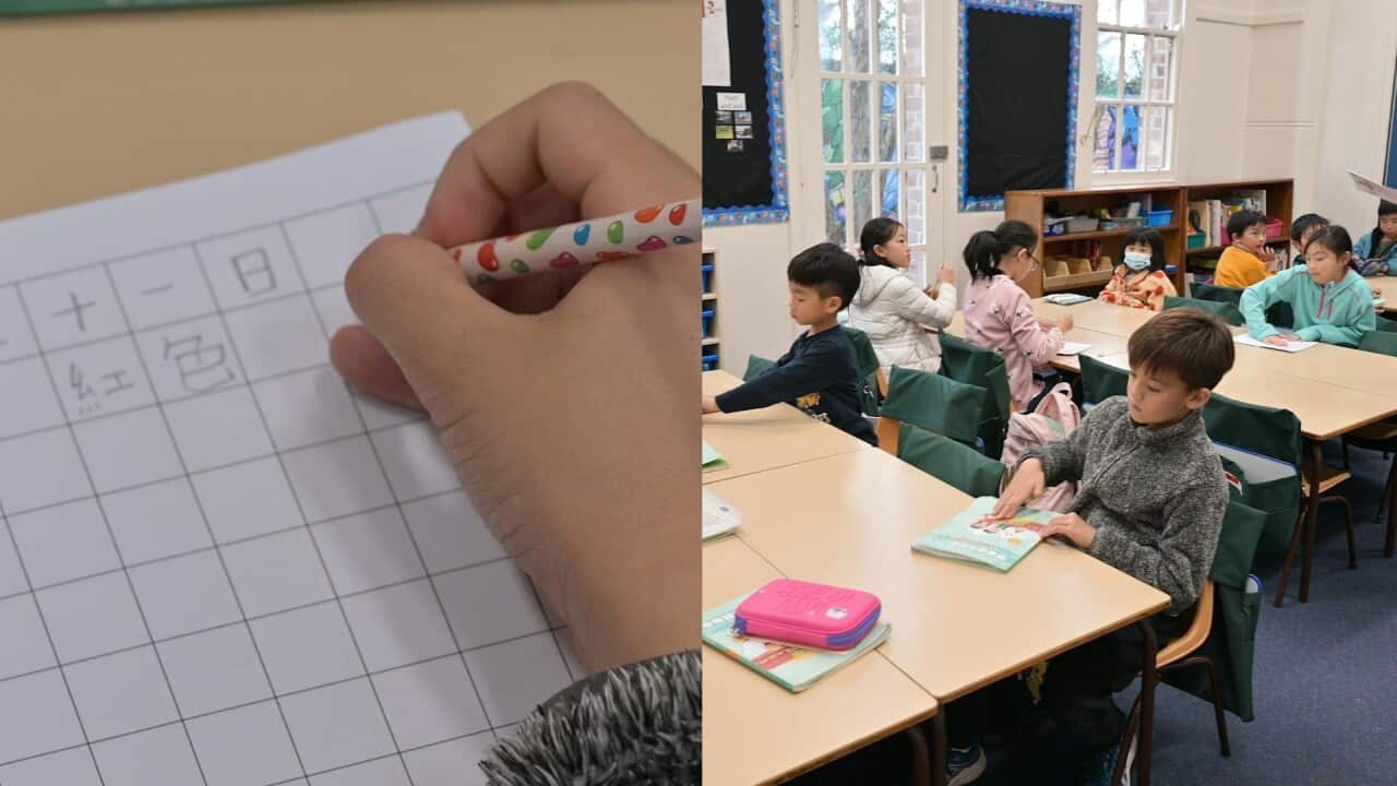 Image for read more article ''