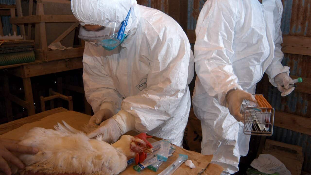 Image for read more article 'READ MORE'