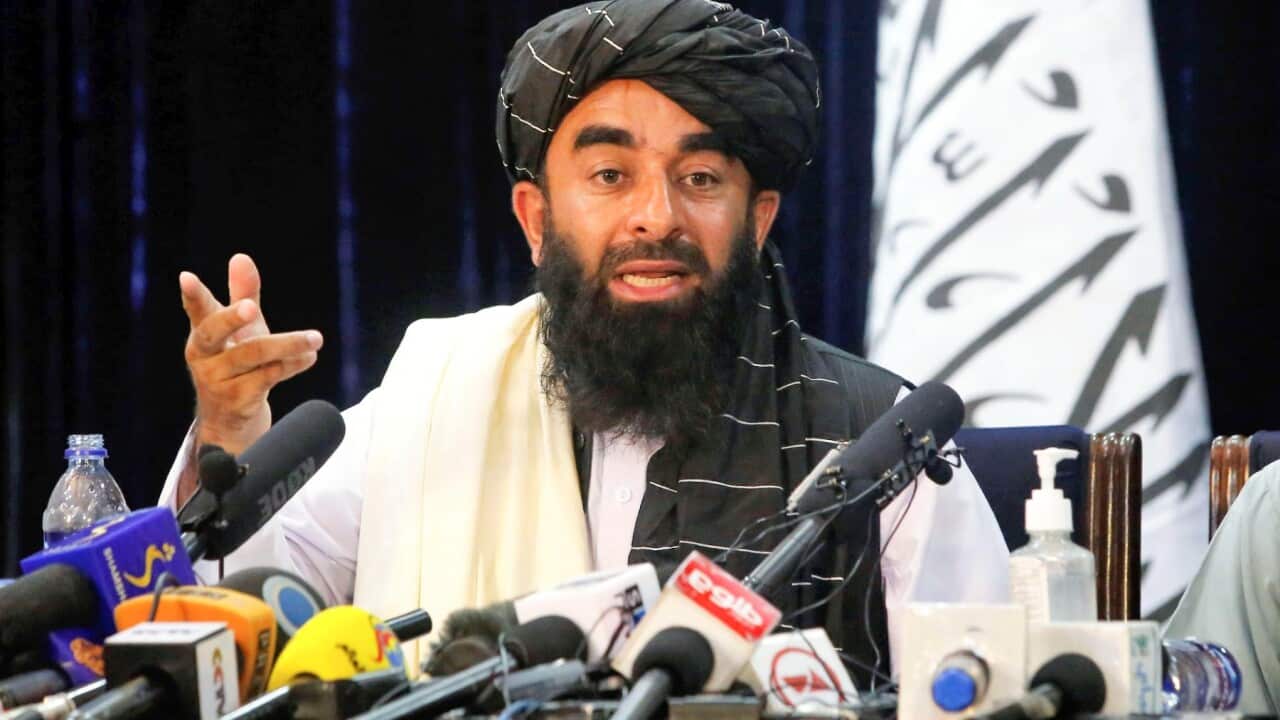 د طالبانو ویاند، ذبیح الله مجاهد